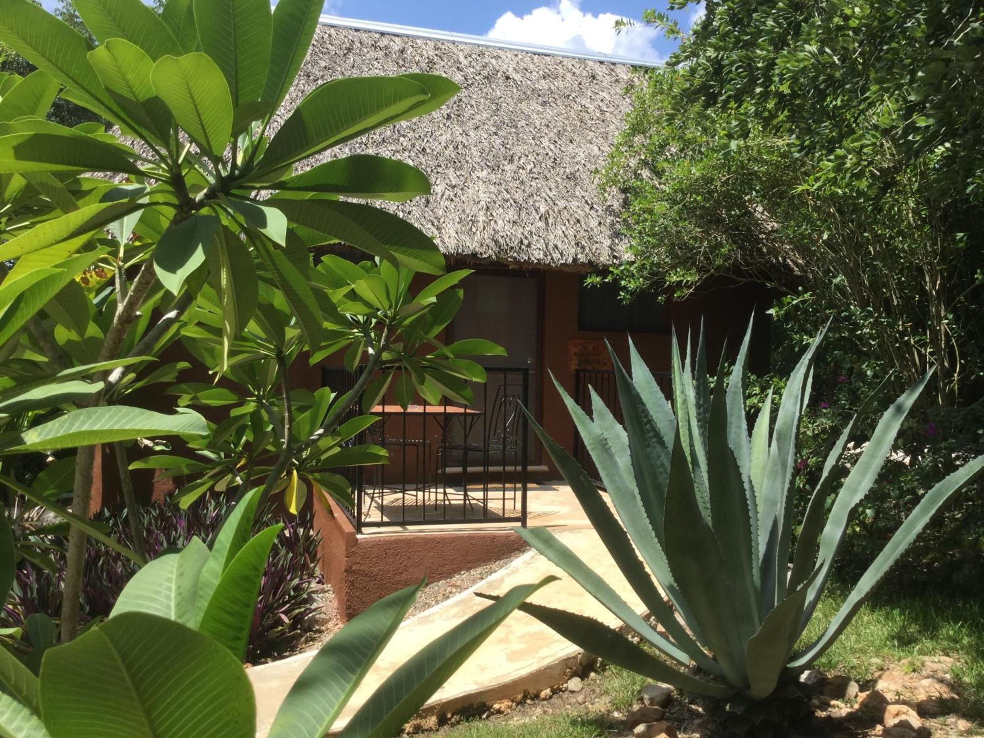 The Pickled Onion B&B And Restaurant Uxmal Santa Elena Bilik gambar