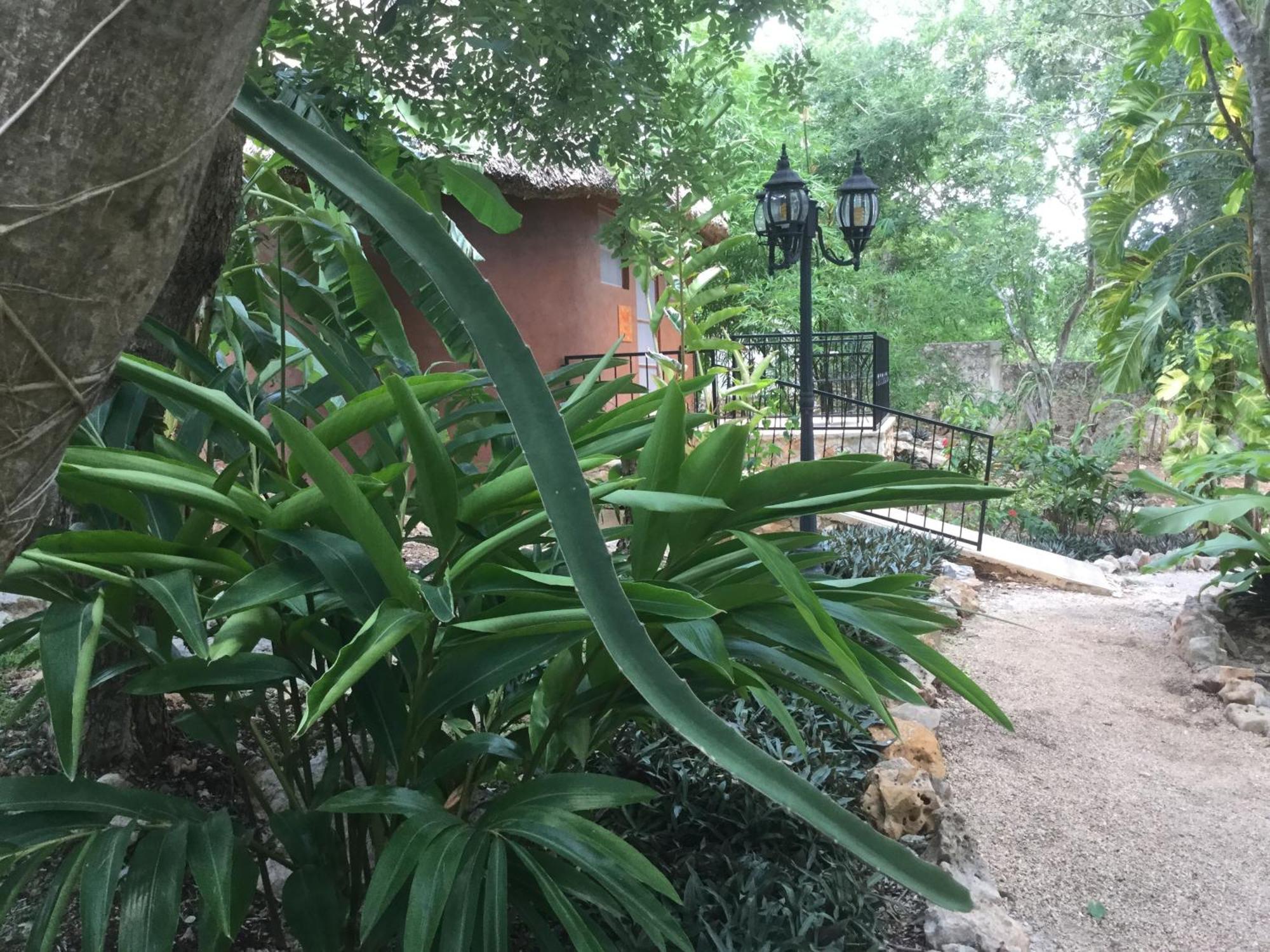 The Pickled Onion B&B And Restaurant Uxmal Santa Elena Bilik gambar