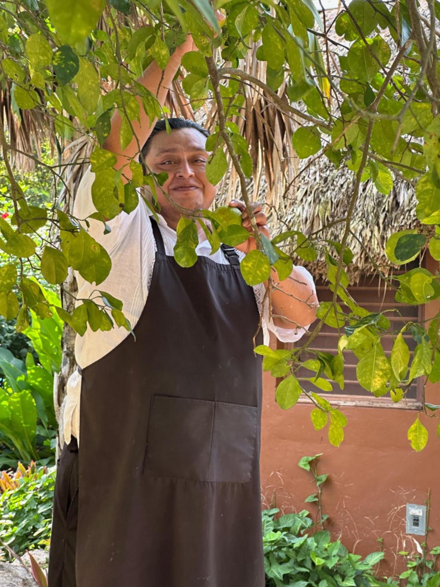 The Pickled Onion B&B And Restaurant Uxmal Santa Elena Luaran gambar