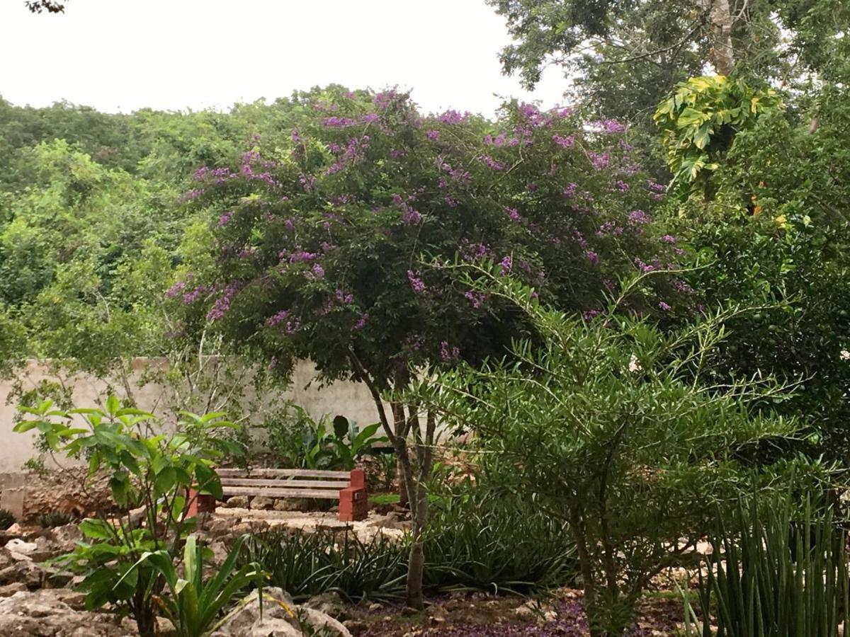 The Pickled Onion B&B And Restaurant Uxmal Santa Elena Luaran gambar